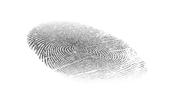 Fingerprint